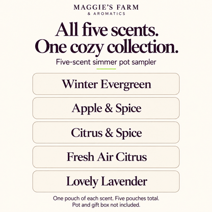 Five-Scent Simmer Pot Sampler: one pouch each of Winter Evergreen, Apple & Spice, Citrus & Spice, Fresh Air Citrus, and Lovely Lavender; five pouches total. Pot and gift box not included.