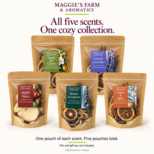 Styled product mockup of five simmer-pot blend pouches: Winter Evergreen, Apple & Spice, Citrus & Spice, Fresh Air Citrus and Lovely Lavender. One pouch of each scent; pot and gift box not included.