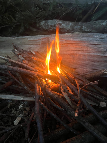 Close view of a small campfire among stacked twigs