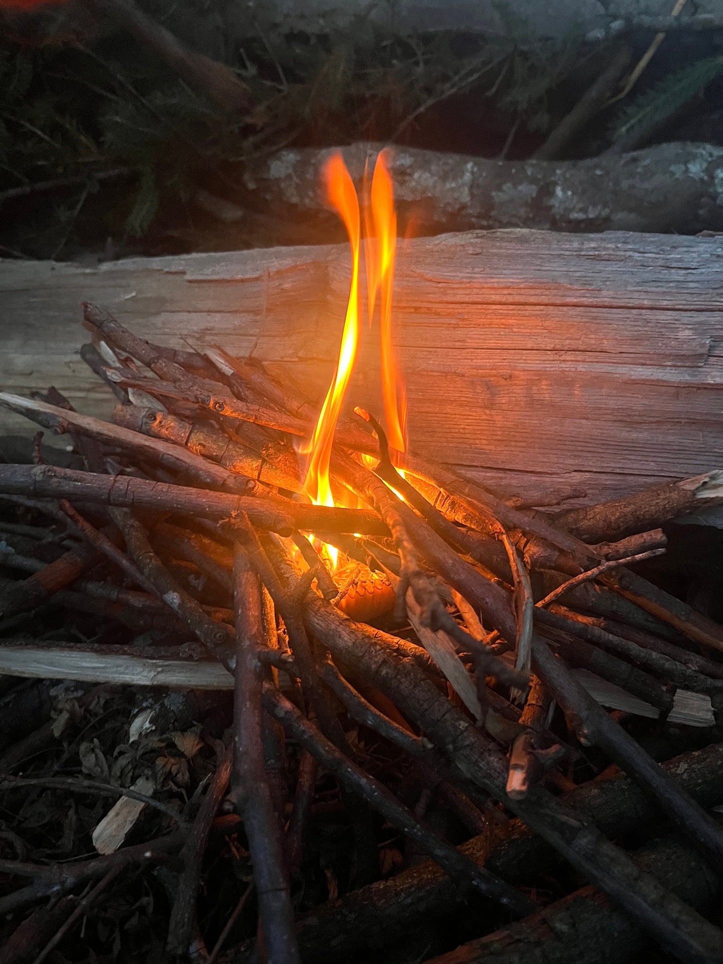Soy Wax Fire Starters