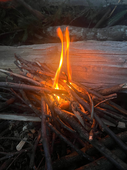 Small campfire burning among stacked twigs and logs