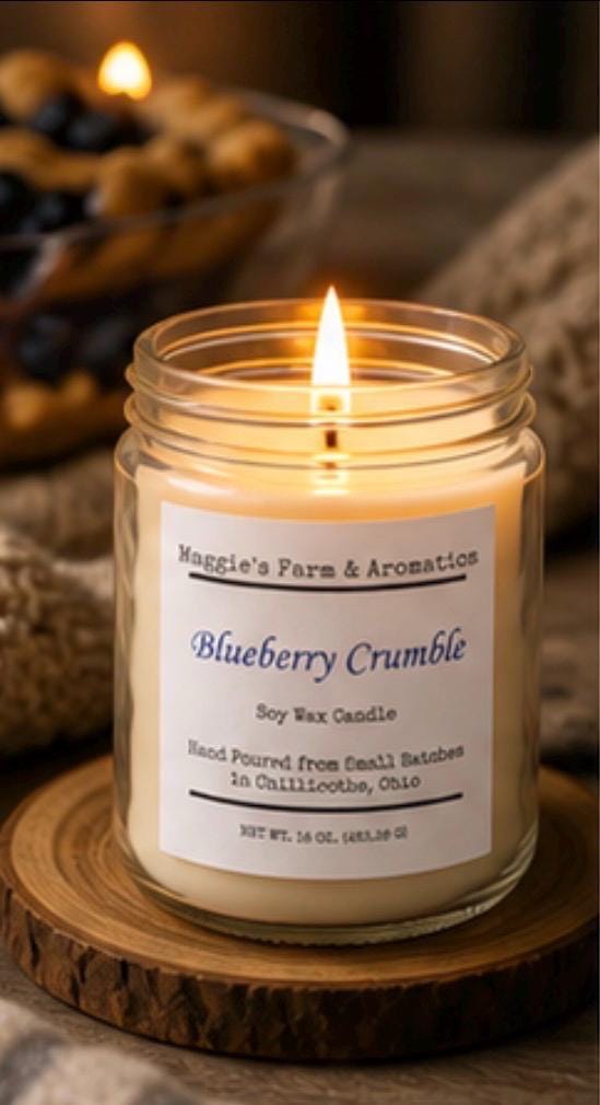 Soy Wax Candle Vegan Candle Aromatherapy Home Fragrance 100 Hour Burn Dye Free Candle