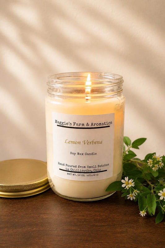 Soy Wax Candle Vegan Candle Aromatherapy Home Fragrance 100 Hour Burn Dye Free Candle